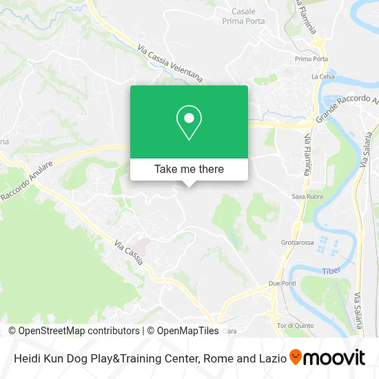 Heidi Kun Dog Play&Training Center map