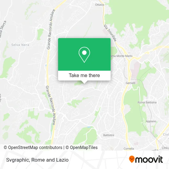 Svgraphic map