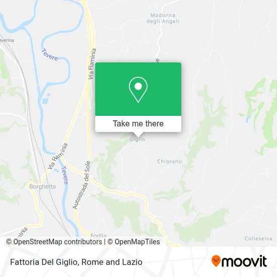 Fattoria Del Giglio map