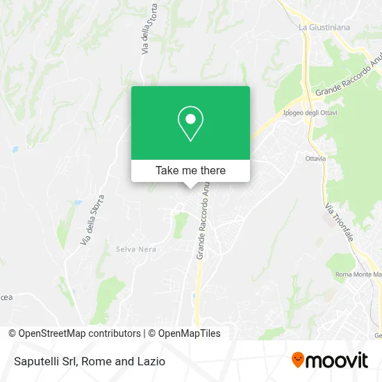 Saputelli Srl map