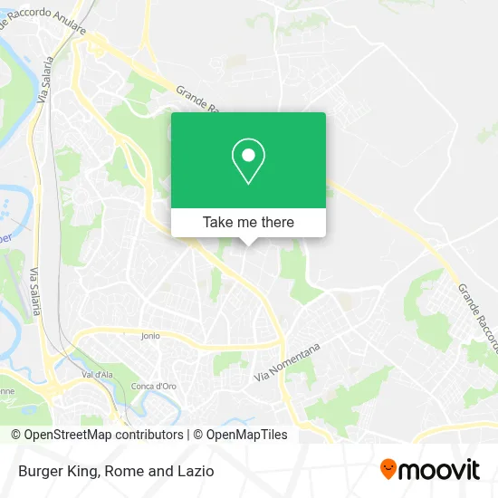 Burger King map