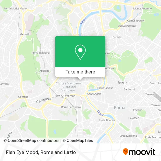 Fish Eye Mood map