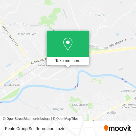 Reale Group Srl map