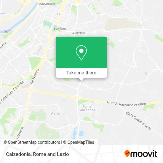 Calzedonia map