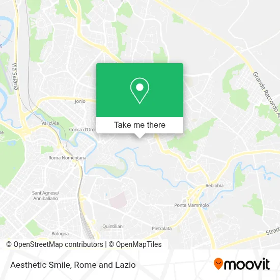 Aesthetic Smile map