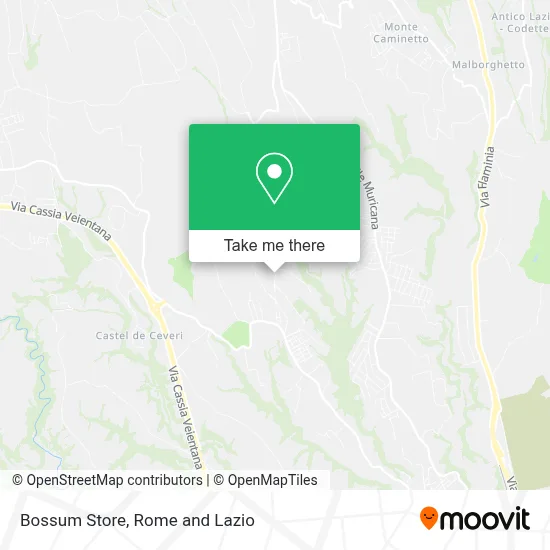 Bossum Store map