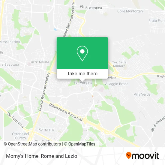 Momy's Home map