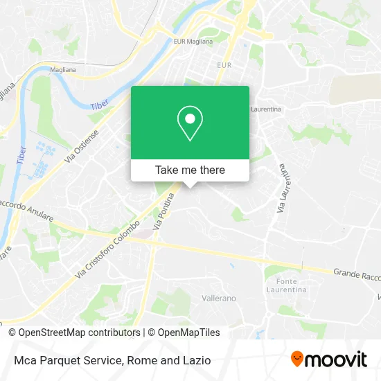Mca Parquet Service map
