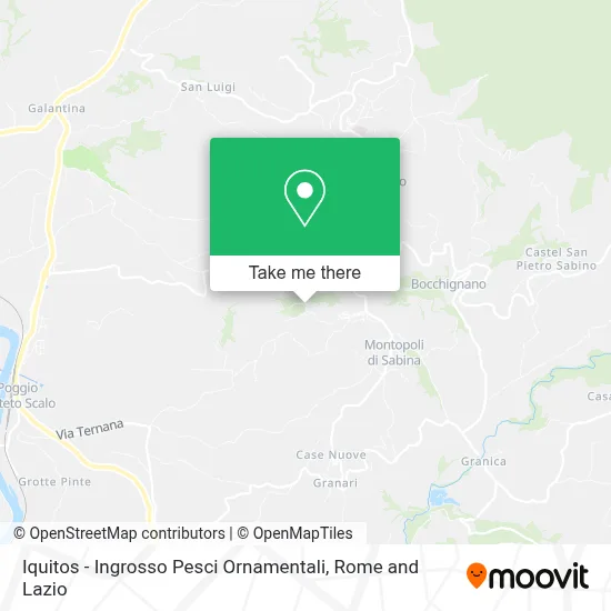 Iquitos - Ingrosso Pesci Ornamentali map