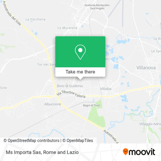 Ms Importa Sas map
