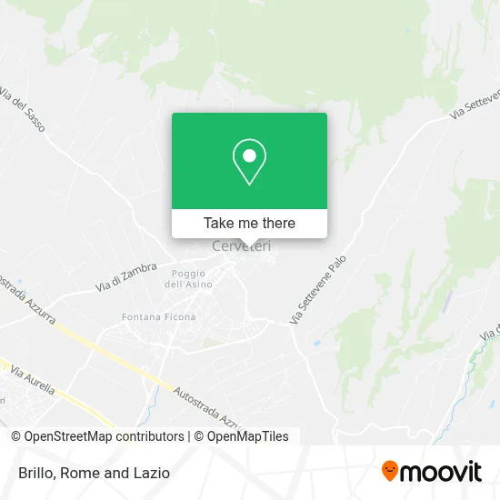 Brillo map
