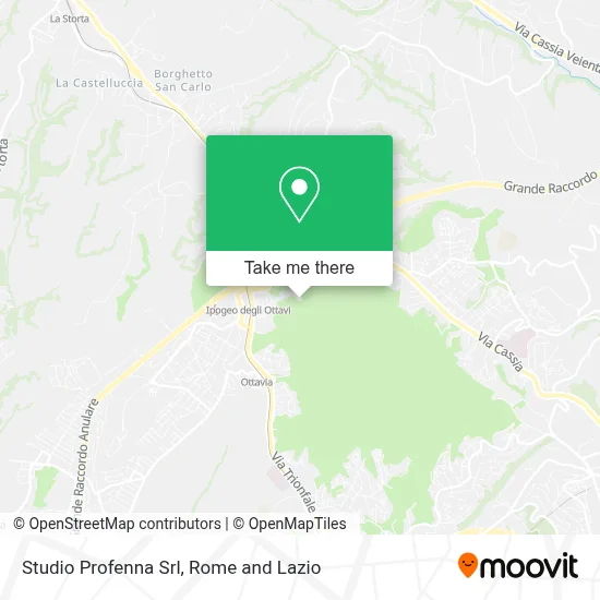 Studio Profenna Srl map