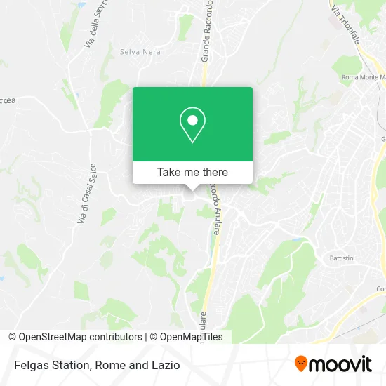 Felgas Station map