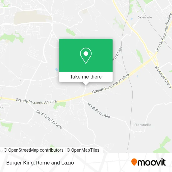 Burger King map