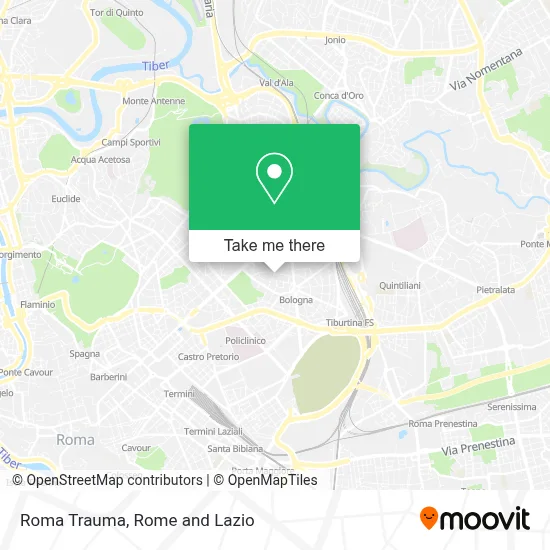 Roma Trauma map