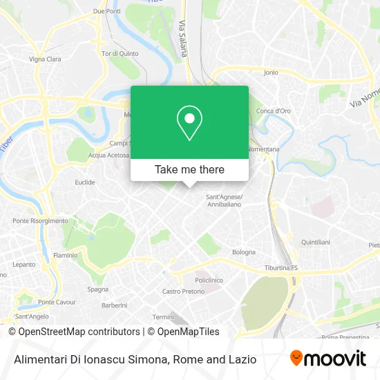 Alimentari Di Ionascu Simona map