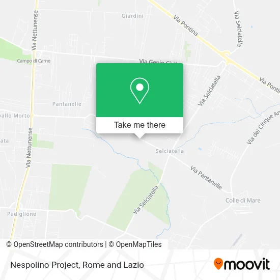 Nespolino Project map