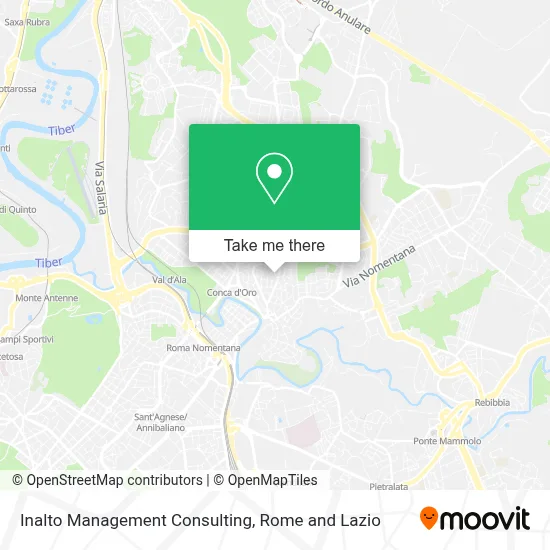 Inalto Management Consulting map