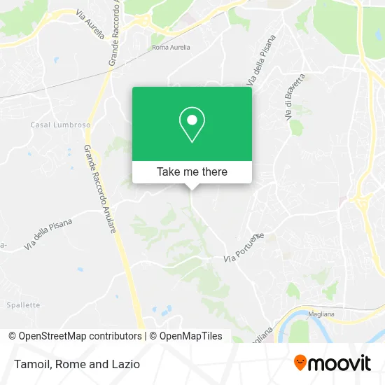 Tamoil map