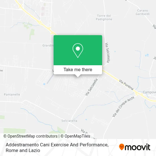 Addestramento Cani Exercise And Performance map