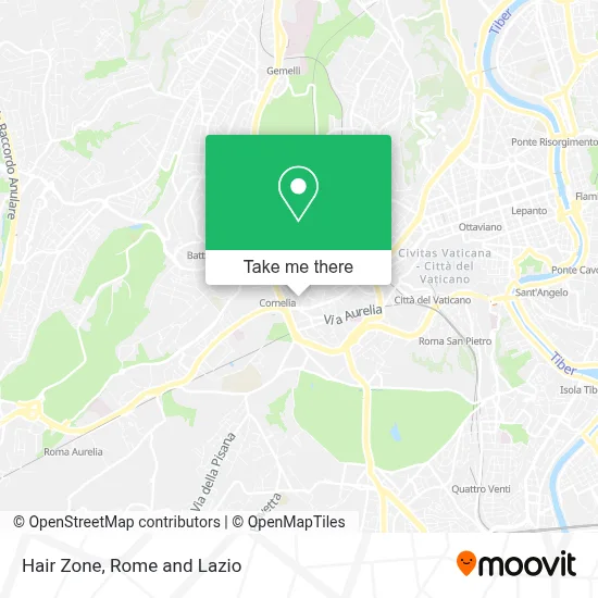 Hair Zone map