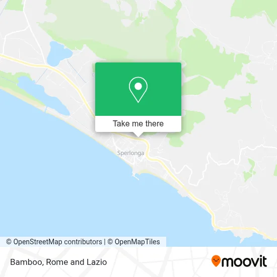 Bamboo map