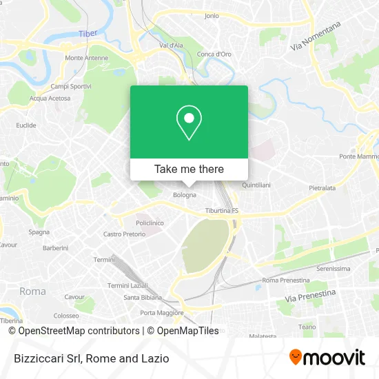 Bizziccari Srl map
