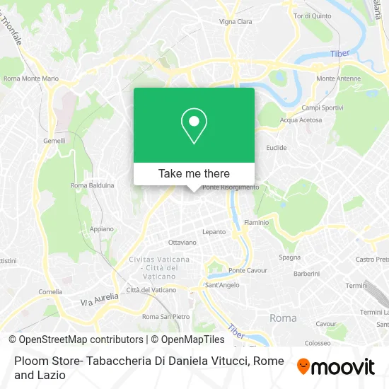 Ploom Store- Tabaccheria Di Daniela Vitucci map