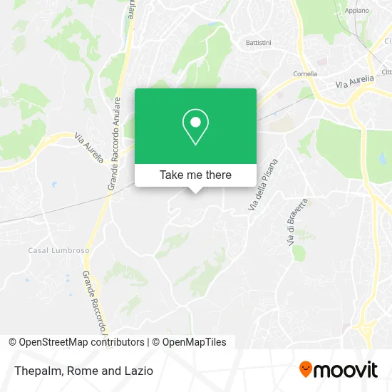 Thepalm map