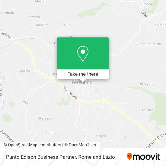 Punto Edison Business Partner map