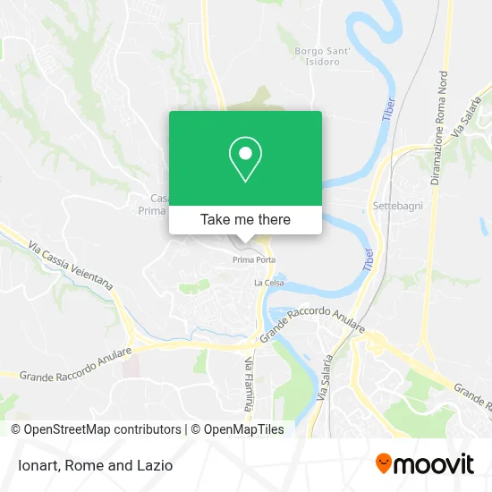Ionart map
