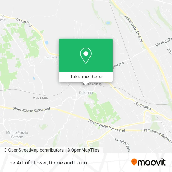 The Art of Flower map