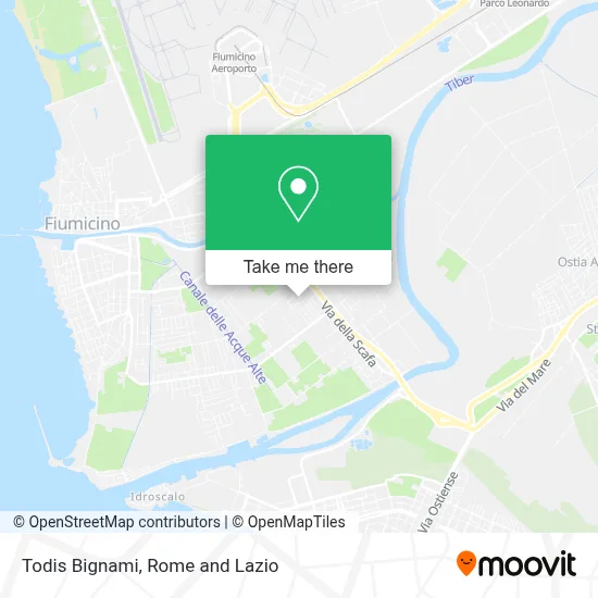 Todis Bignami map