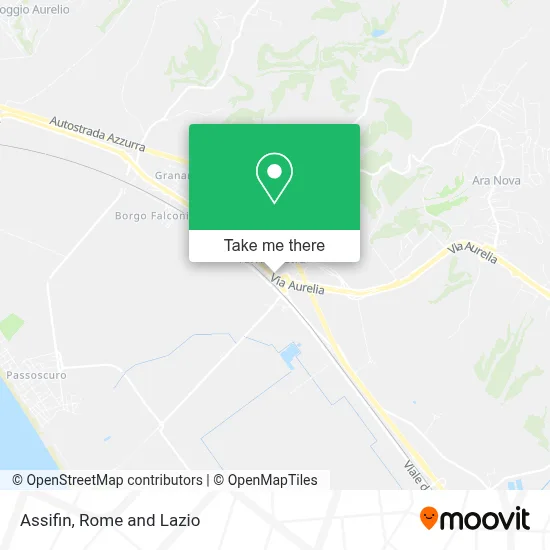 Assifin map