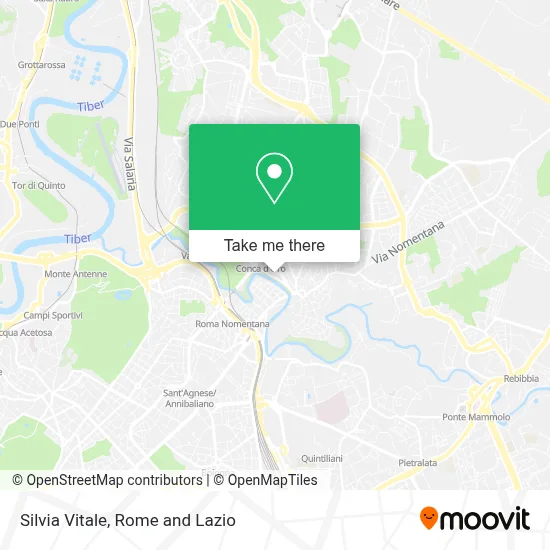 Silvia Vitale map