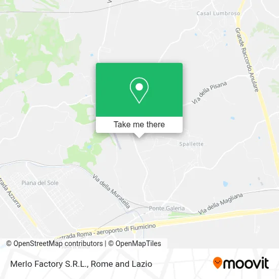 Merlo Factory S.R.L. map