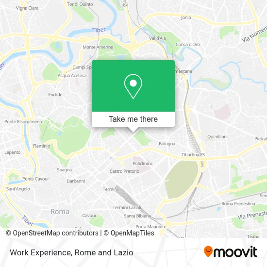 Work Experience map