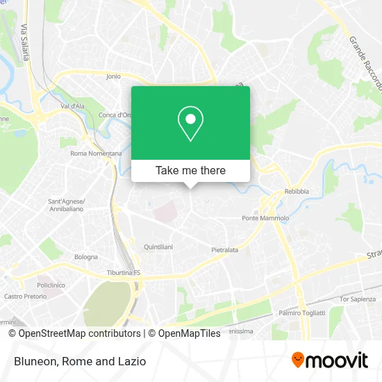 Bluneon map