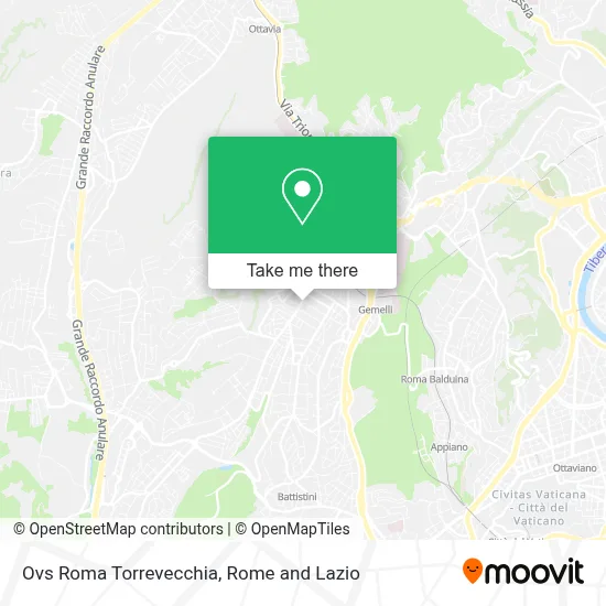 Ovs Roma Torrevecchia map