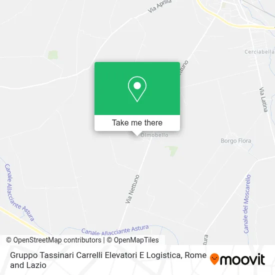 Gruppo Tassinari Carrelli Elevatori E Logistica map