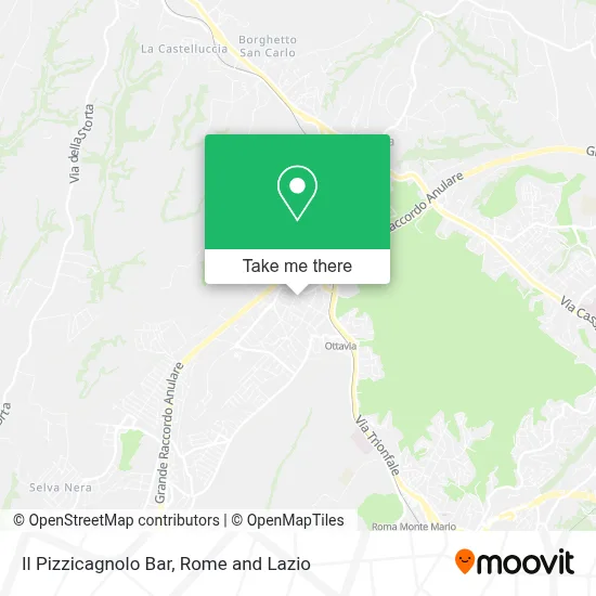 Il Pizzicagnolo Bar map