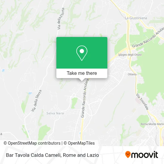 Bar Tavola Calda Cameli map