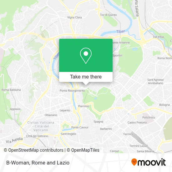 B-Woman map
