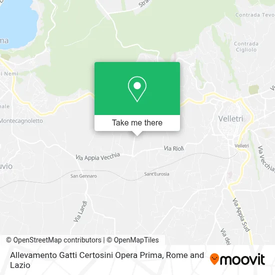 Allevamento Gatti Certosini Opera Prima map