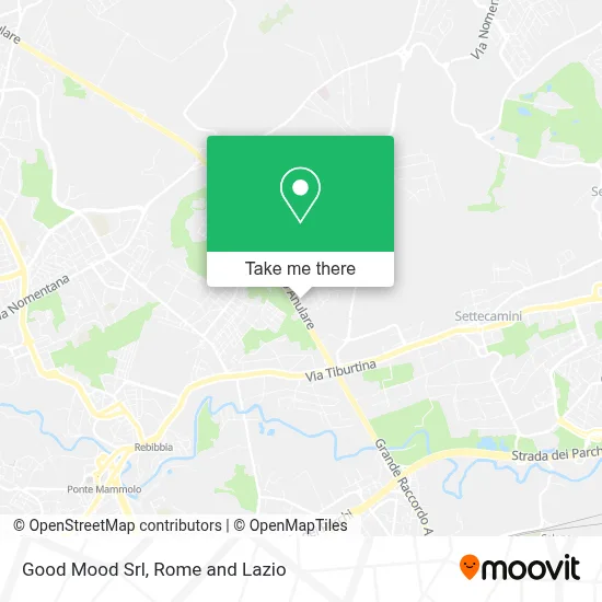 Good Mood Srl map