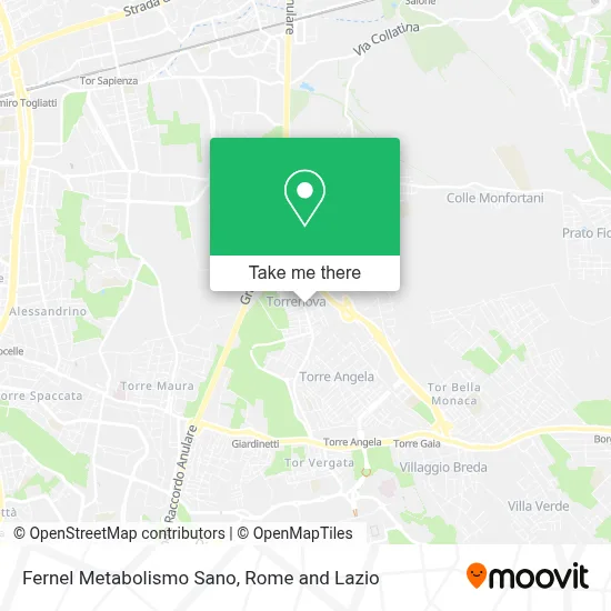 Fernel Metabolismo Sano map