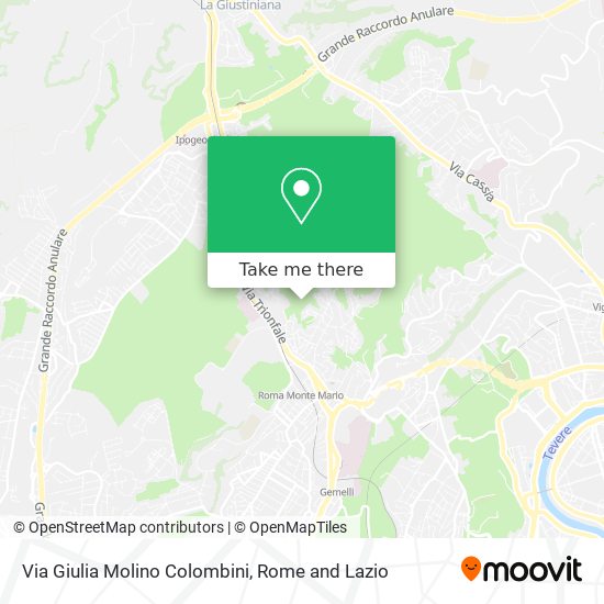Via Giulia Molino Colombini map