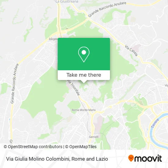 Giulia Molino Colombini Street map