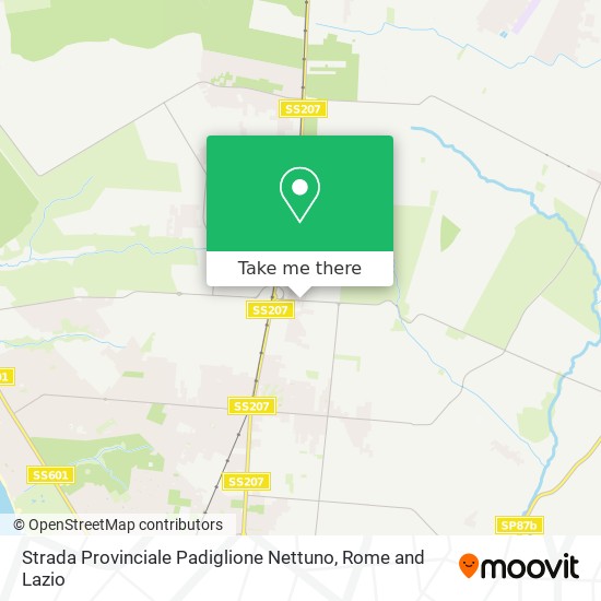 Strada Provinciale Padiglione Nettuno map