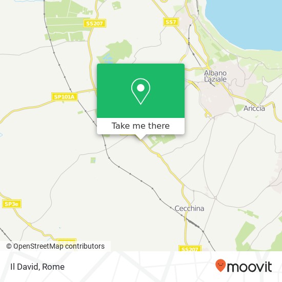 Il David map